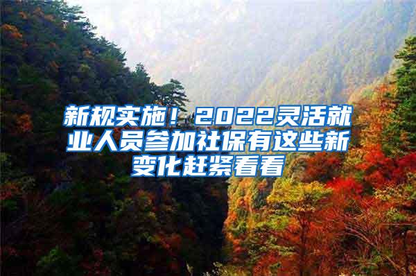 新规实施！2022灵活就业人员参加社保有这些新变化赶紧看看