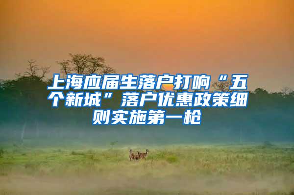 上海应届生落户打响“五个新城”落户优惠政策细则实施第一枪