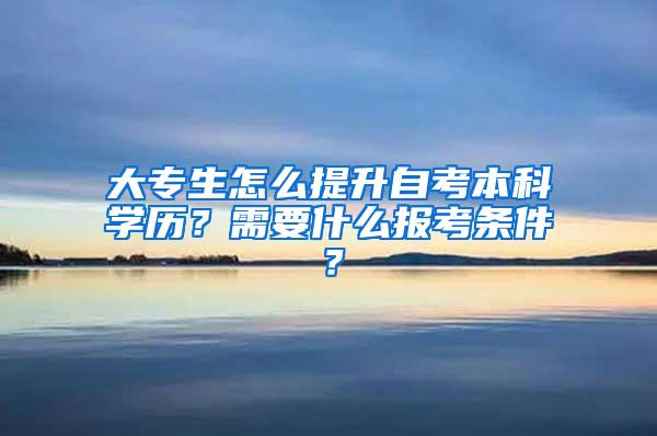 大专生怎么提升自考本科学历？需要什么报考条件？