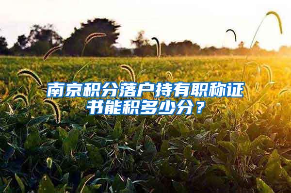 南京积分落户持有职称证书能积多少分？