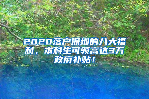 2020落户深圳的八大福利，本科生可领高达3万政府补贴！