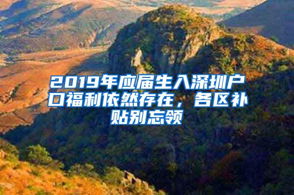 2019年应届生入深圳户口福利依然存在，各区补贴别忘领