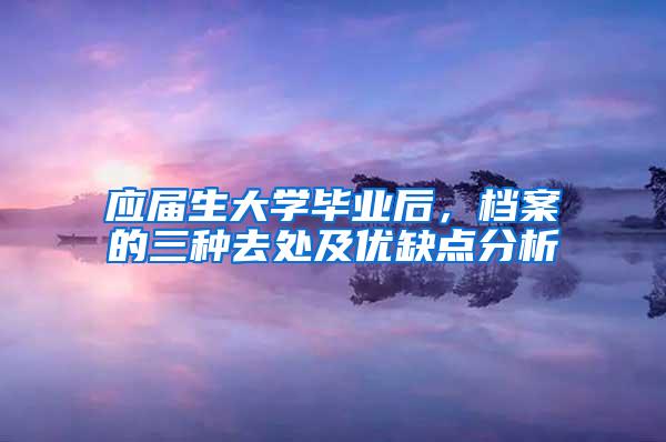 应届生大学毕业后，档案的三种去处及优缺点分析