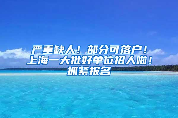 严重缺人！部分可落户！上海一大批好单位招人啦！抓紧报名