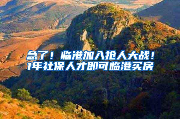 急了！临港加入抢人大战！1年社保人才即可临港买房