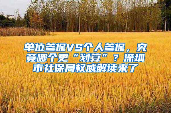 单位参保VS个人参保，究竟哪个更“划算”？深圳市社保局权威解读来了