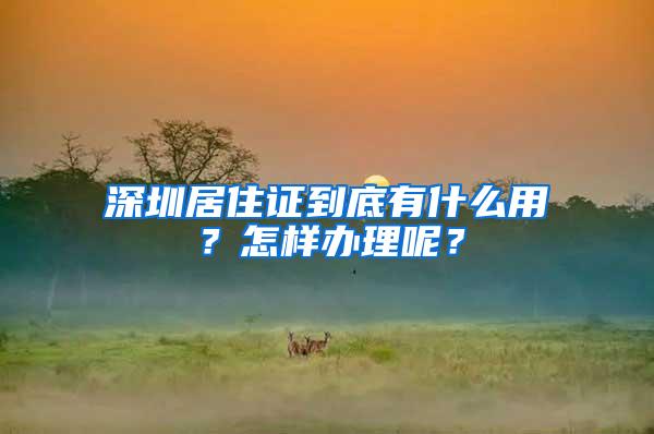 深圳居住证到底有什么用？怎样办理呢？