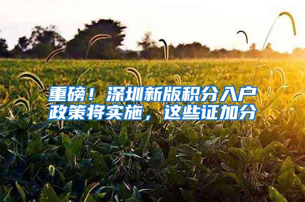 重磅！深圳新版积分入户政策将实施，这些证加分