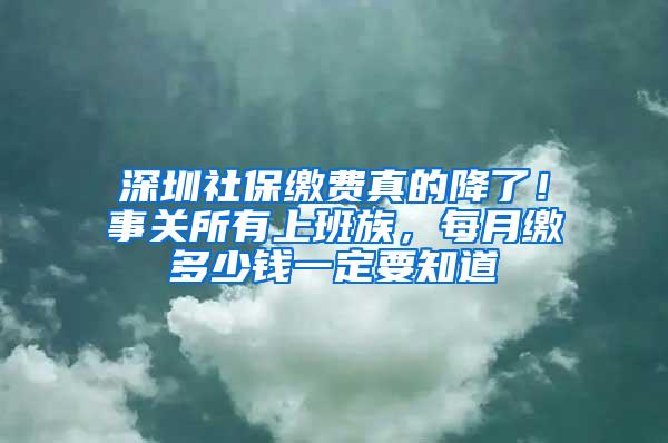 深圳社保缴费真的降了！事关所有上班族，每月缴多少钱一定要知道