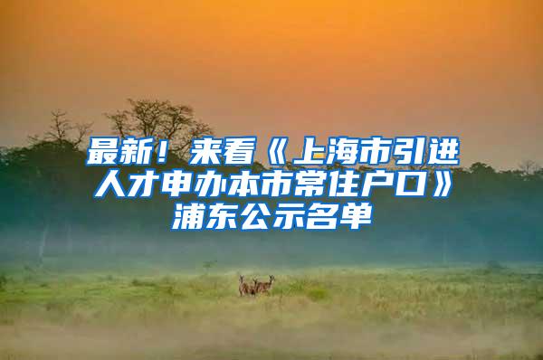 最新！来看《上海市引进人才申办本市常住户口》浦东公示名单