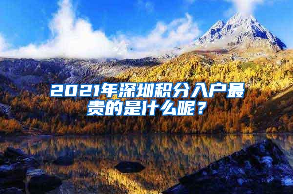 2021年深圳积分入户最贵的是什么呢？