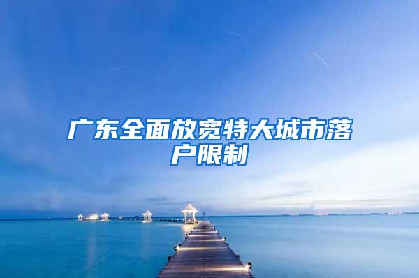 广东全面放宽特大城市落户限制