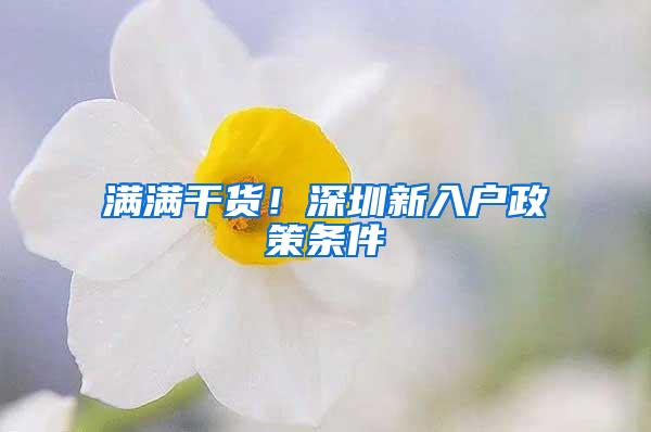 满满干货！深圳新入户政策条件