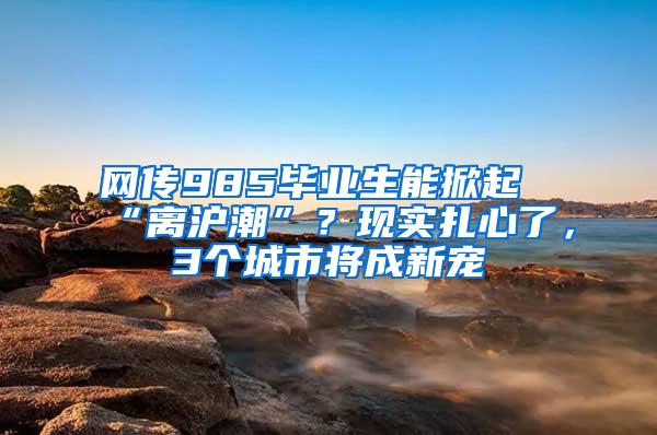 网传985毕业生能掀起“离沪潮”？现实扎心了，3个城市将成新宠