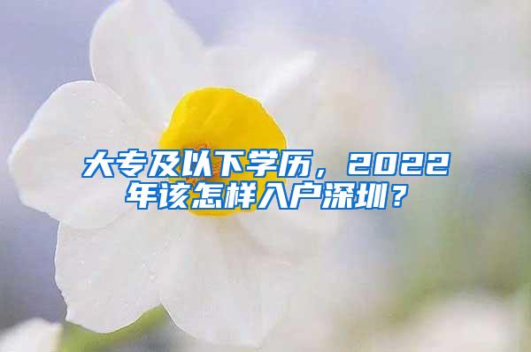 大专及以下学历，2022年该怎样入户深圳？