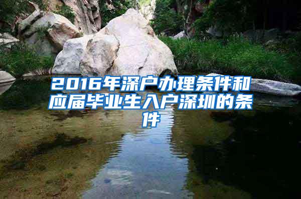 2016年深户办理条件和应届毕业生入户深圳的条件