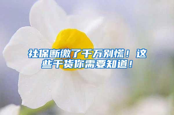 社保断缴了千万别慌！这些干货你需要知道！