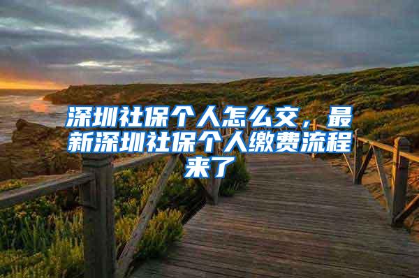 深圳社保个人怎么交，最新深圳社保个人缴费流程来了