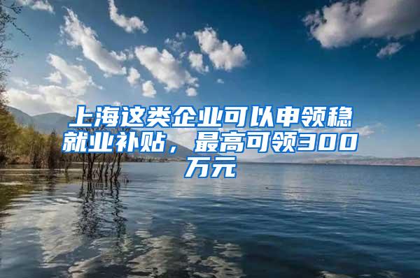 上海这类企业可以申领稳就业补贴，最高可领300万元