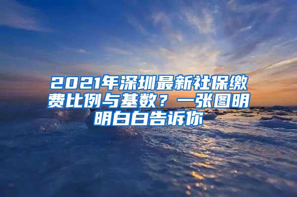 2021年深圳最新社保缴费比例与基数？一张图明明白白告诉你