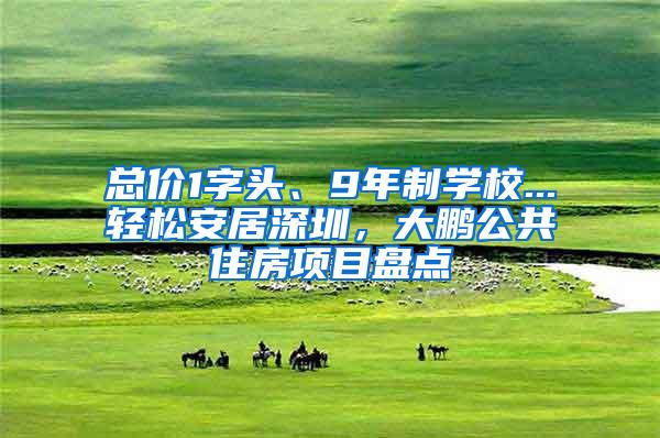 总价1字头、9年制学校...轻松安居深圳，大鹏公共住房项目盘点