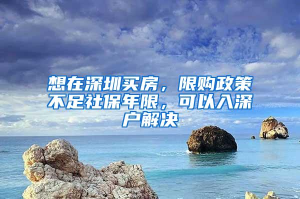 想在深圳买房，限购政策不足社保年限，可以入深户解决