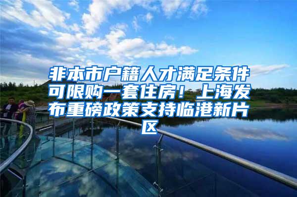 非本市户籍人才满足条件可限购一套住房！上海发布重磅政策支持临港新片区