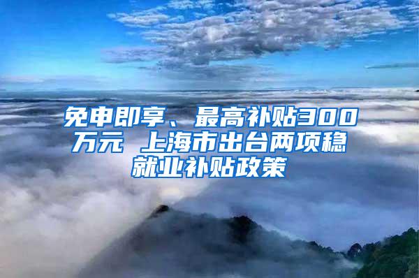 免申即享、最高补贴300万元 上海市出台两项稳就业补贴政策