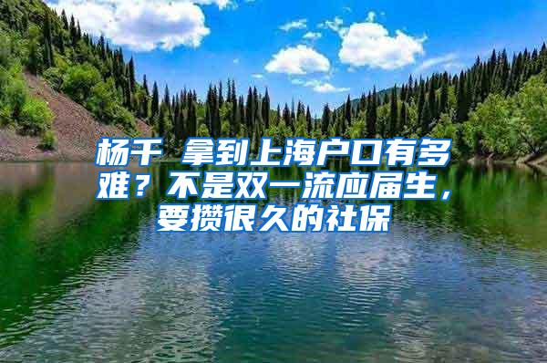 杨千嬅拿到上海户口有多难？不是双一流应届生，要攒很久的社保