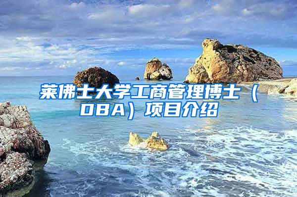 莱佛士大学工商管理博士（DBA）项目介绍