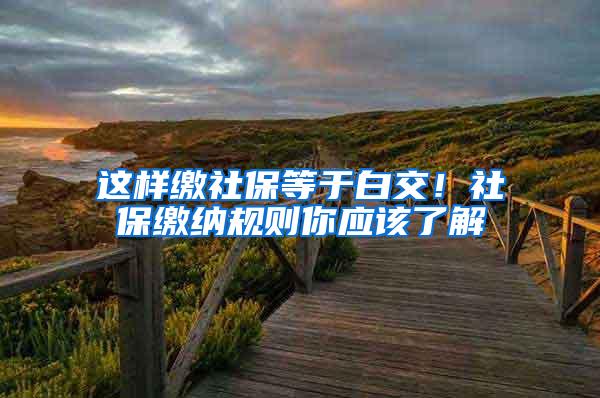 这样缴社保等于白交！社保缴纳规则你应该了解