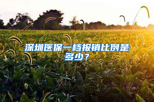 深圳医保一档报销比例是多少？