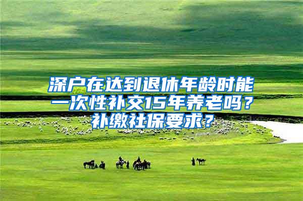 深户在达到退休年龄时能一次性补交15年养老吗？补缴社保要求？