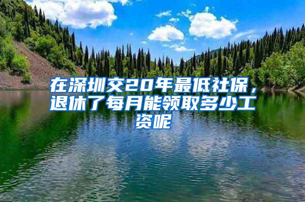 在深圳交20年最低社保，退休了每月能领取多少工资呢