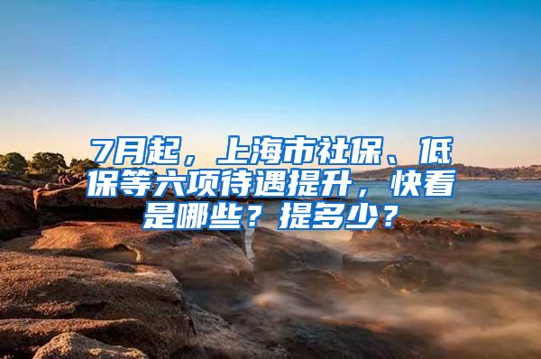 7月起，上海市社保、低保等六项待遇提升，快看是哪些？提多少？