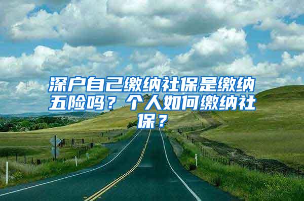 深户自己缴纳社保是缴纳五险吗？个人如何缴纳社保？