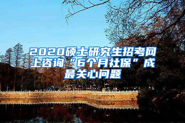 2020硕士研究生招考网上咨询“6个月社保”成最关心问题