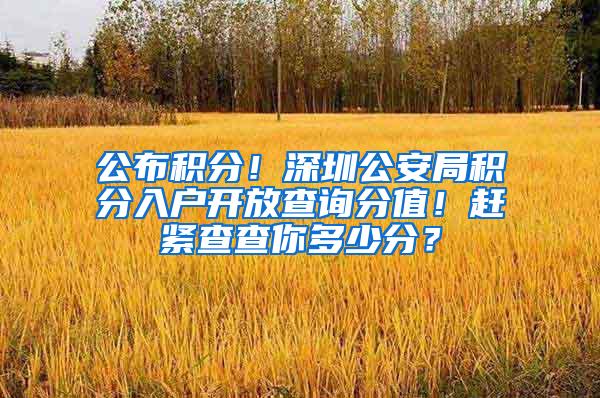 公布积分！深圳公安局积分入户开放查询分值！赶紧查查你多少分？