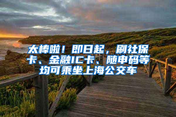 太棒啦！即日起，刷社保卡、金融IC卡、随申码等均可乘坐上海公交车