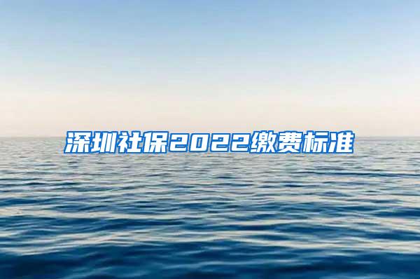 深圳社保2022缴费标准