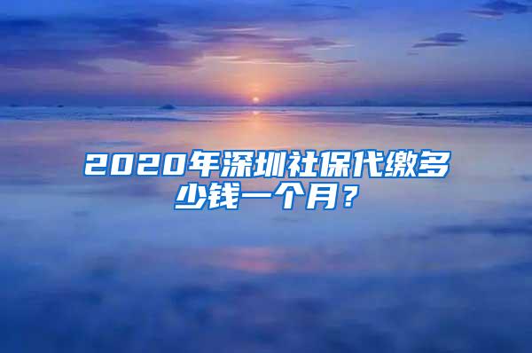 2020年深圳社保代缴多少钱一个月？