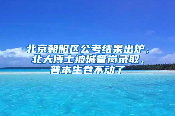 北京朝阳区公考结果出炉，北大博士被城管岗录取，普本生卷不动了