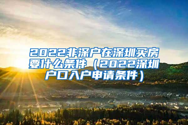 2022非深户在深圳买房要什么条件（2022深圳户口入户申请条件）