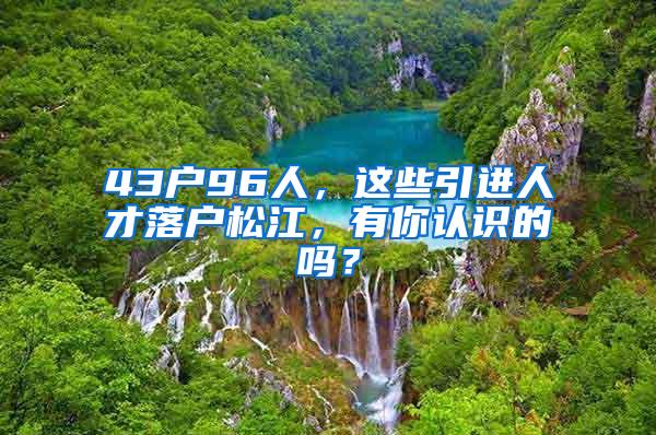 43户96人，这些引进人才落户松江，有你认识的吗？