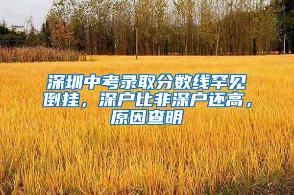 深圳中考录取分数线罕见倒挂，深户比非深户还高，原因查明