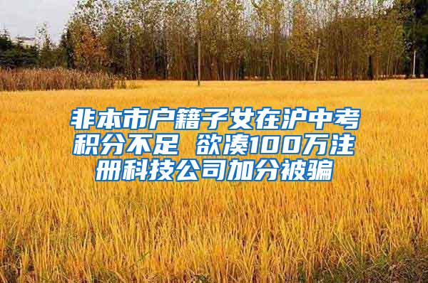 非本市户籍子女在沪中考积分不足 欲凑100万注册科技公司加分被骗