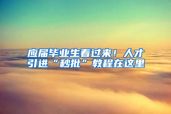 应届毕业生看过来！人才引进“秒批”教程在这里