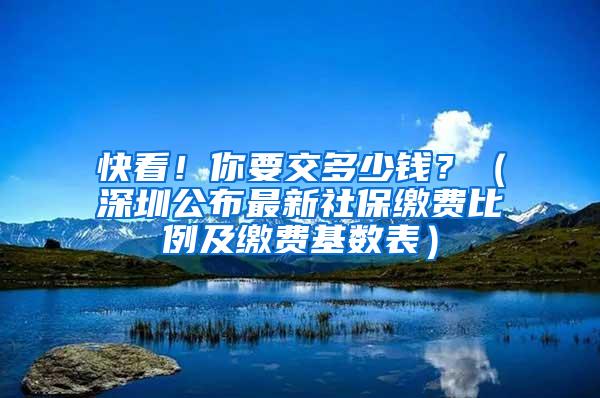 快看！你要交多少钱？（深圳公布最新社保缴费比例及缴费基数表）