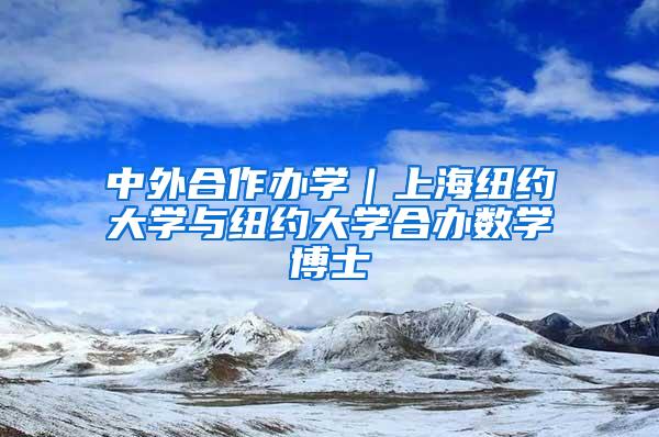 中外合作办学｜上海纽约大学与纽约大学合办数学博士