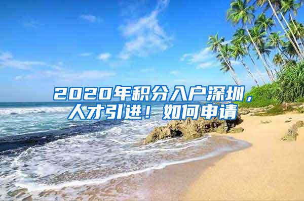 2020年积分入户深圳，人才引进！如何申请